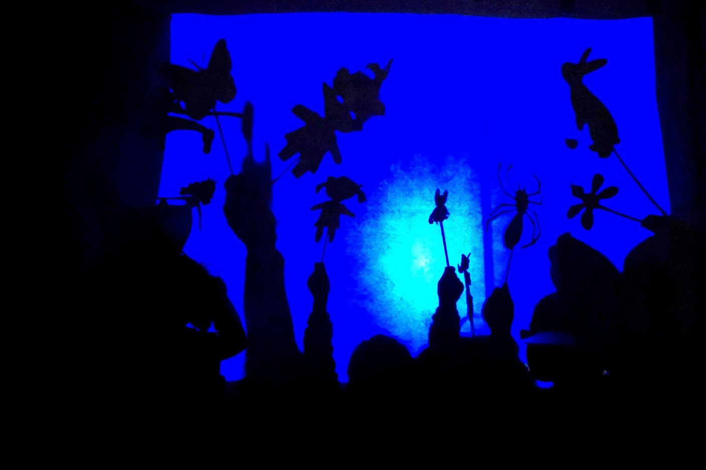 teatr cieni ładne 2