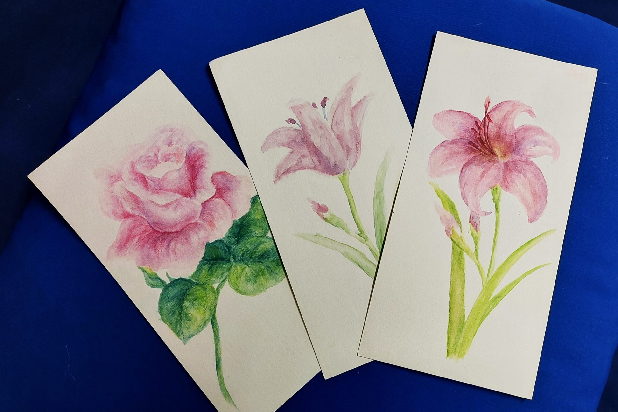 20241210_170912